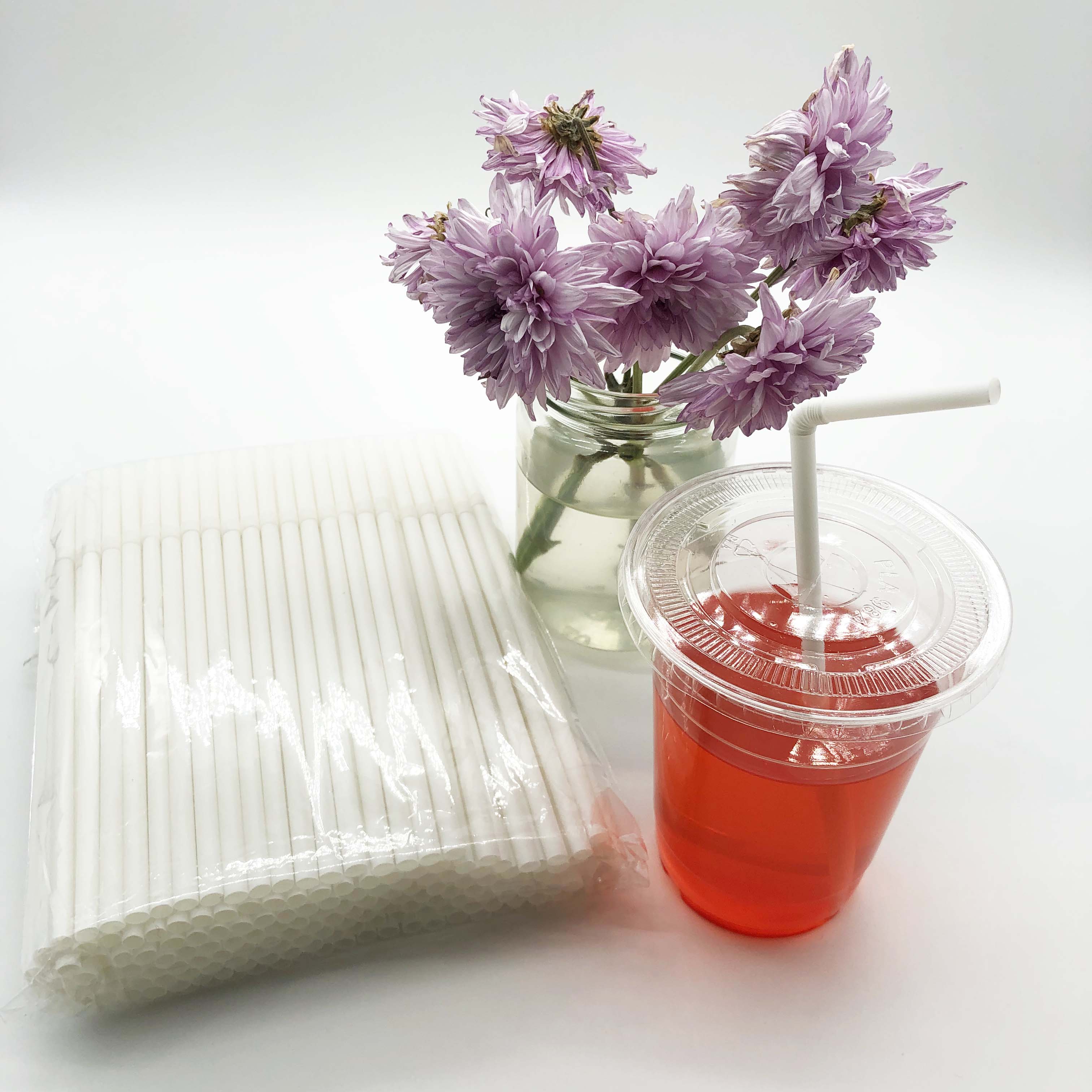 Biodegradable Drinking Straws